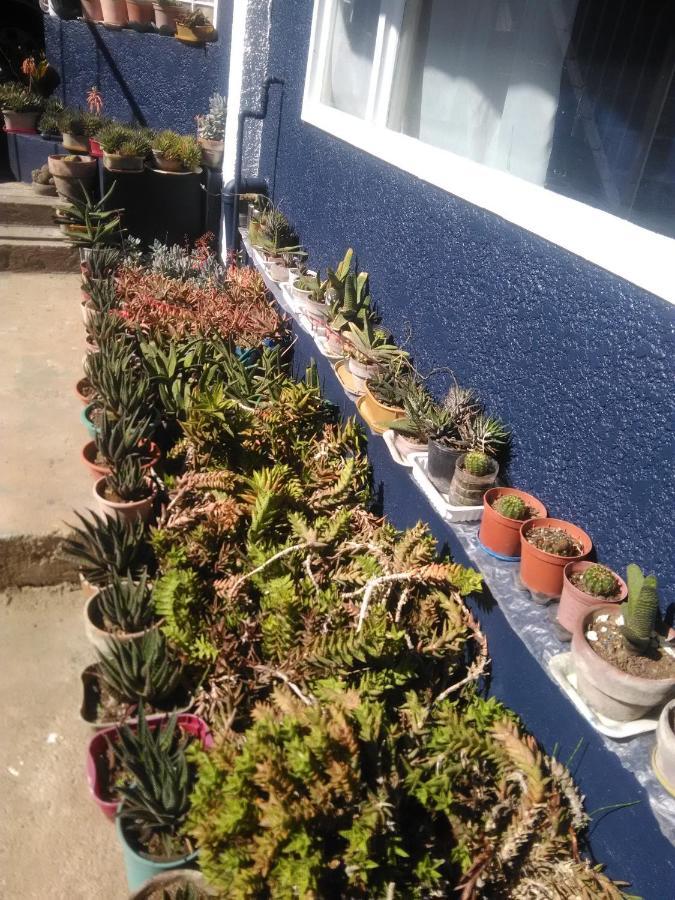 Havilah House Baguio City Exterior photo